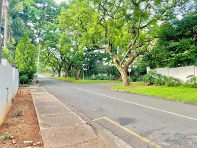 an empty street with trees on the side of the road at Avenue luxury home in Pretoria