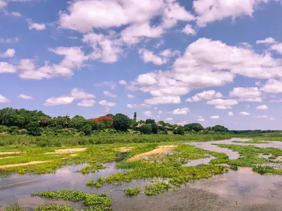 a marshy river with trees and clouds in the sky at Elephant Walk Tented Camp in Komatipoort