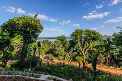 a garden with trees and a lake in the background at Enso Botanico Boutique Villa, Kosmos in Hartbeespoort