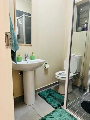 a bathroom with a sink and a toilet and a shower at Olive view Retreat in Midrand