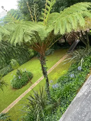 a palm tree in the middle of a garden at Botterblom Hide-Away in Sabie