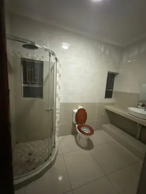 a bathroom with a shower with a toilet and a sink at The Loraine Luxury Villa in Witbank