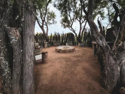 a group of tables and chairs in a park with trees at Die Skoen in Dinokeng Game Reserve