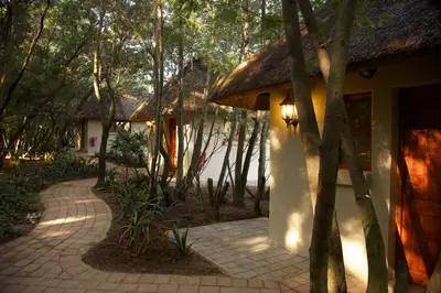 a path leading to a house with a thatch roof at Ingaadi in Pretoria