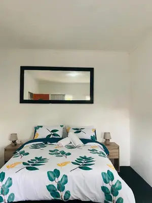 a bedroom with a bed with a mirror on the wall at Linies guest house in Benoni