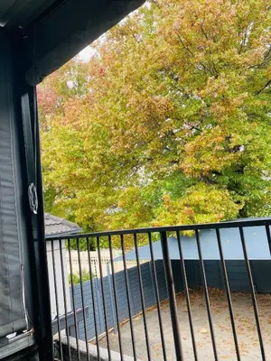 a view of a tree from a balcony at Linies guest house in Benoni