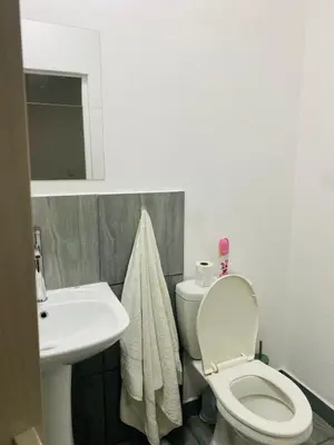 a bathroom with a white toilet and a sink at Linies guest house in Benoni