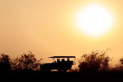 a group of people riding in a vehicle at sunset at Sashwa River of Stars Plant-Based Wellness Safari Lodge in Hoedspruit