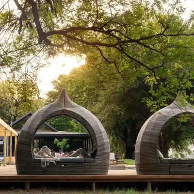 Sashwa River of Stars Plant-Based Wellness Safari Lodge