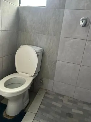 a bathroom with a white toilet in a room at Sherotha Homestay in Louis Trichardt
