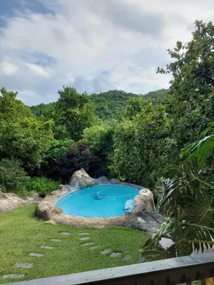 Gallery image of The Fig Tree in Nelspruit