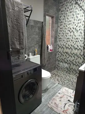 a bathroom with a washing machine and a toilet at Hantam Suites in Centurion