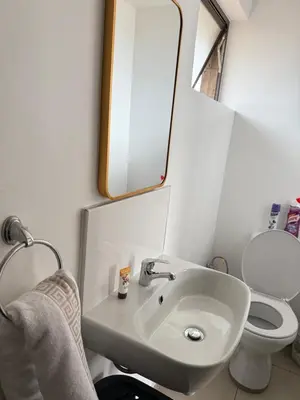 a bathroom with a sink and a toilet and a mirror at Home Away Nest B&B in Witbank