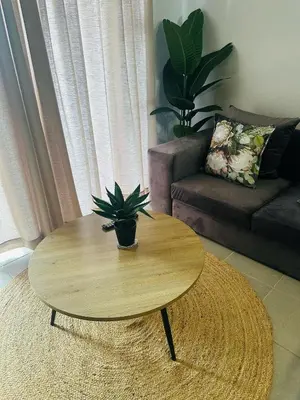a coffee table in a living room with a potted plant at Calm & Cozy Apartment 2 in Pretoria