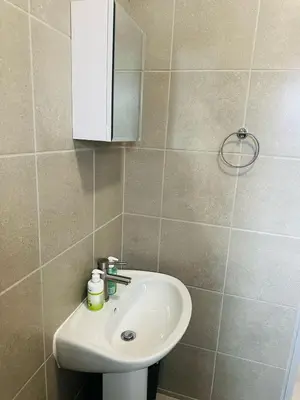 a bathroom with a sink and a mirror at Calm & Cozy Apartment 2 in Pretoria