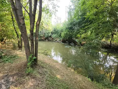 a river in the middle of a forest at Lazy River Retreat in Pretoria