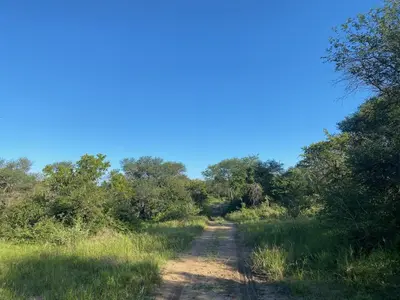 a dirt road through the grass and trees at Harmonie Hills in Sukani