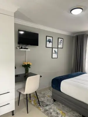 a bedroom with a bed and a desk and a tv at 36 On Blougom in Midrand
