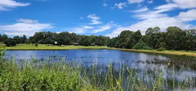 a lake in a field with trees in the background at Greystone Lodge in Dullstroom