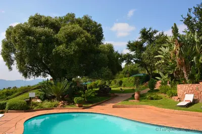 a swimming pool in a garden with a tree at La Montagne Guest Lodge in Hartbeespoort