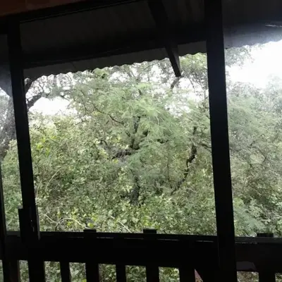 Rhulani Treetop Cottage