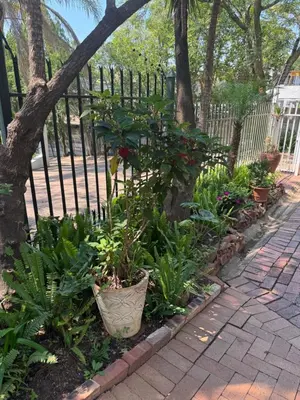 a garden of plants in front of a fence at Secret Place in Pretoria
