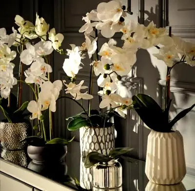 three vases with white flowers on a table at Belle Vie Boutique Guesthouse in Pretoria