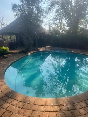 a small pool with blue water in a yard at Emoyeni Malelane Lodge in Malelane