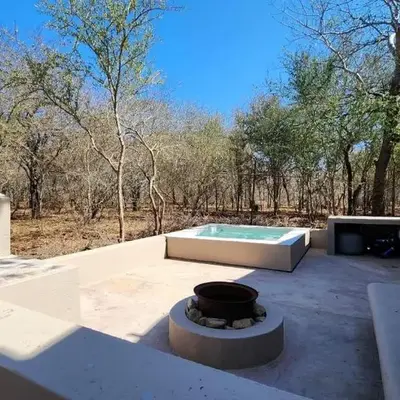 Erdvarkie at Kruger