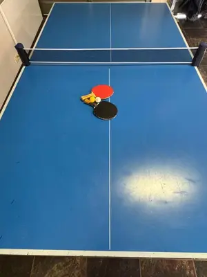 a plastic penguin on a ping pong table at Zwartkloof 111 in Warmbaths