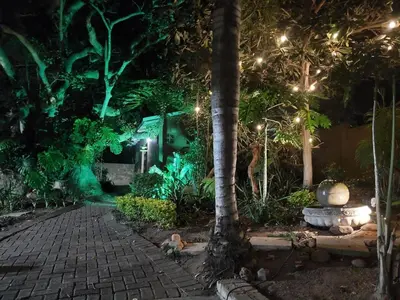 a garden lit up at night with lights at Lazy Trail Cottage in Nelspruit
