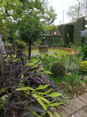 a garden with a fountain and some plants at At 98 on Lynburn Guest House in Pretoria
