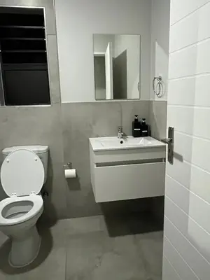 a bathroom with a toilet and a sink and a mirror at The Snug Spot in Boksburg