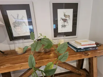 a wooden table with a plant on top of it at Maclarty House - Golf Estate Villa in White River