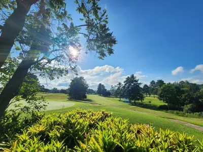 a view of a golf course with trees and grass at Golf Estate Vacation Property - Poseidon's Knoll in White River