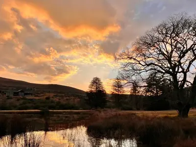 a sunset over a field with trees and a body of water at Stone Creek Mountain Lodge in Dullstroom
