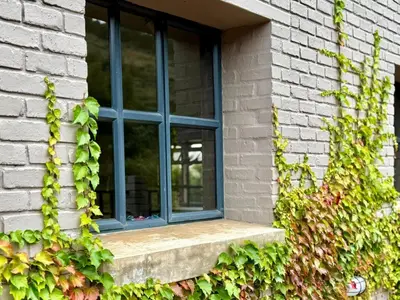 a window on a brick building with ivy at Stone Creek Mountain Lodge in Dullstroom