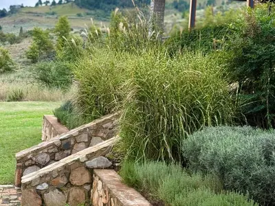a garden with tall grass and a stone wall at Stone Creek Mountain Lodge in Dullstroom