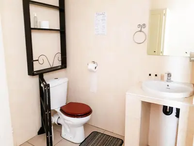 a bathroom with a toilet and a sink at Dormio Manor Guest Lodge in Secunda