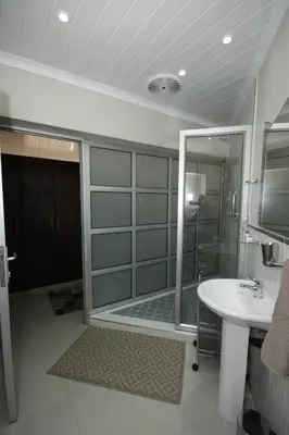 a bathroom with a shower and a sink at Dormio Manor Guest Lodge in Secunda