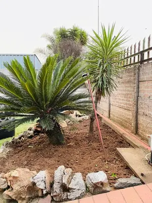 a garden with two palm trees and rocks at Inspire living home in Kempton Park