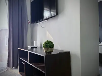 a black cabinet with a potted plant on a wall at Olive Branch in Bethal
