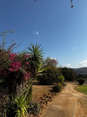 a dirt road with plants and flowers on it at Ezulwini - Kruger Park Lodge Golf Estate in Hazyview