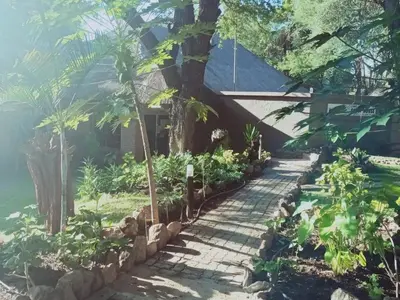 a path leading to a house with trees and plants at Bonamanzi Guesthouse in Burgersfort