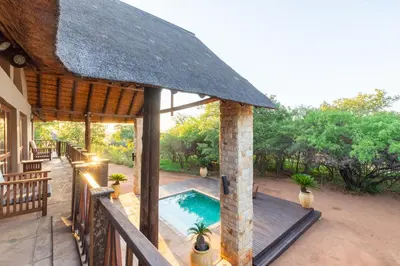 a house with a swimming pool and a thatched roof at Beautiful 4-bedroom, 33 Zebula in Warmbaths
