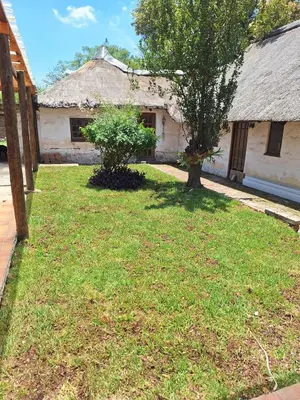 a house with a tree in the yard at Midrand-Living Water's Sanctuary in Midrand