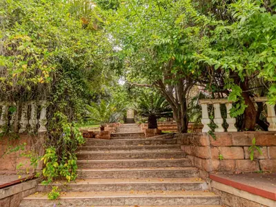 a set of stairs in a park with trees at Casta Diva Boutique Hotel in Pretoria