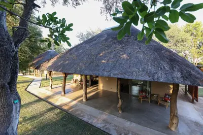 a hut with a thatched roof in a park at Senalala Safari Lodge in Klaserie Private Nature Reserve