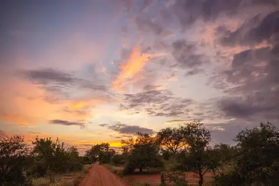 a dirt road under a cloudy sky at sunset at Senalala Safari Lodge in Klaserie Private Nature Reserve