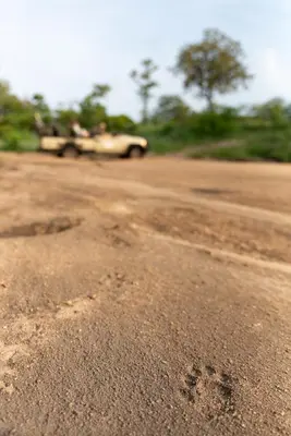 a car parked on the side of a dirt road at Senalala Safari Lodge in Klaserie Private Nature Reserve